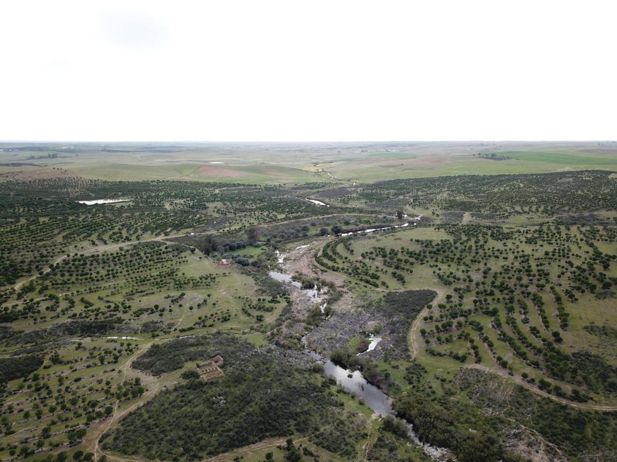 Herdade De Alagaes メルトラ エクステリア 写真